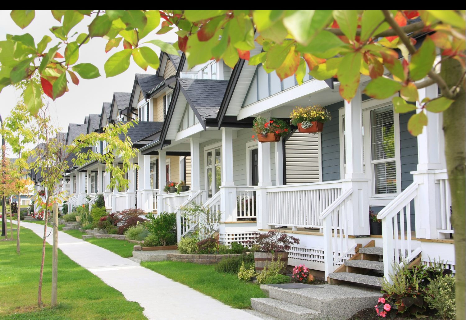 A tree-lined street of front porches in South Jordan, Utah
